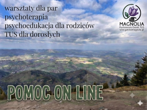 Pomoc on line