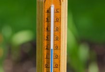 Pogoda w Niemczech: temperatury lokalnie wzrosną do 20 stopni Celsjusza!