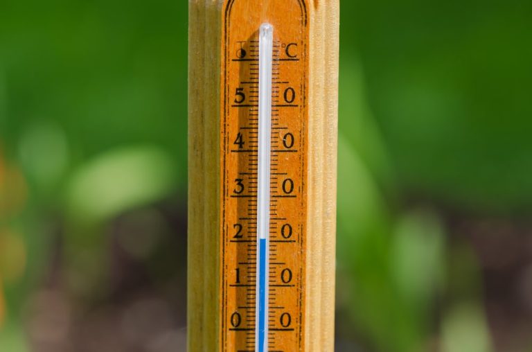 Pogoda w Niemczech: temperatury lokalnie wzrosną do 20 stopni Celsjusza!