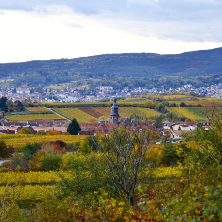 Niemieckie korzenie Donalda Trumpa. Tu mieszkali jego dziadkowie!