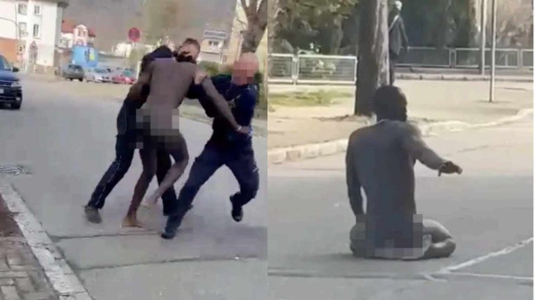 Nagi uchodźca zatrzymywał samochody w Schopfheim i ranił policjantów