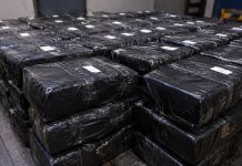 Niemcy: Celnicy skonfiskowali 8 ton kokainy w Wilhelmshaven