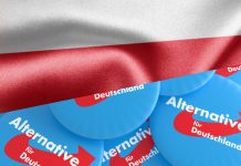 Skandaliczne słowa polityka AfD. Nazwał Polaków „Afroamerykanami Europy”