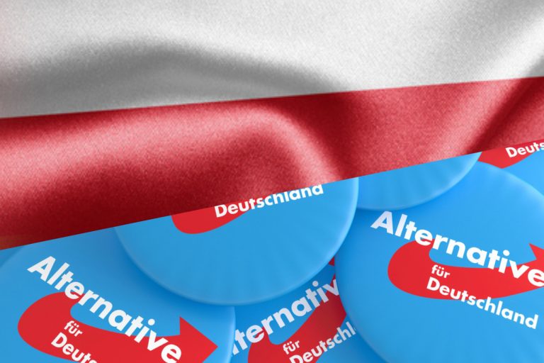 Skandaliczne słowa polityka AfD. Nazwał Polaków „Afroamerykanami Europy”
