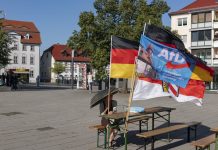 Szef DIW ostrzega przed polityką AfD :„Niemcy to nie raj”