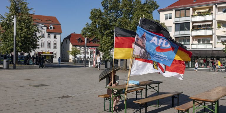 Szef DIW ostrzega przed polityką AfD :„Niemcy to nie raj”