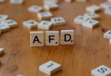 Protesty przeciwko prawicy i AfD: dziesiątki demonstracji ogłoszonych w kilku niemieckich miastach