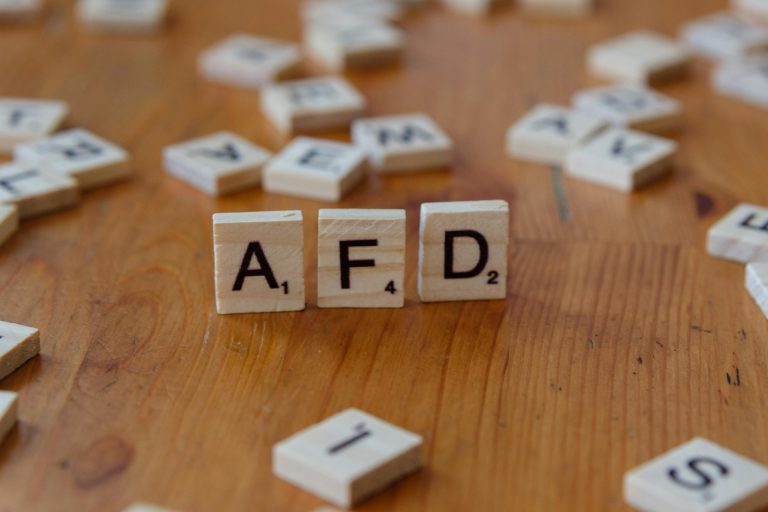 Protesty przeciwko prawicy i AfD: dziesiątki demonstracji ogłoszonych w kilku niemieckich miastach