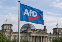 Fundacja chce pieniędzy z Berlina na ochronę organizacji społecznych przed rządami AfD Ilustracja AI: flaga AfD na tle budynku Bundestagu