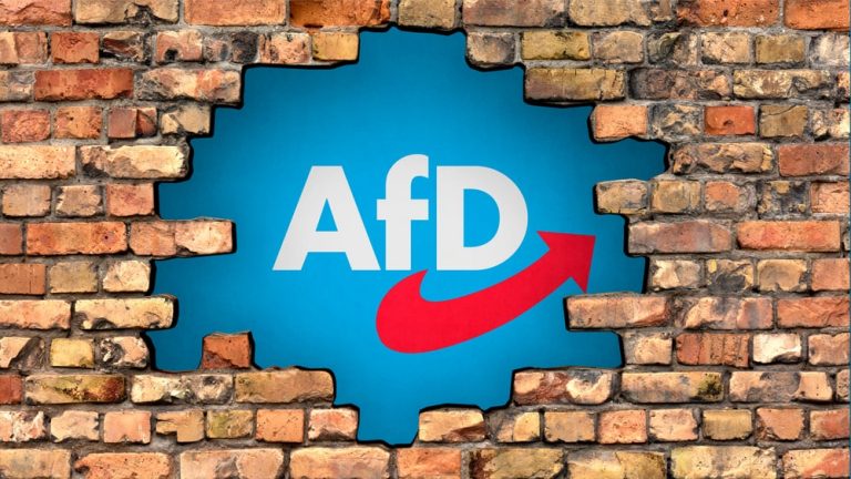 Sondaż w Niemczech: 42 proc. obywateli opowiada się za podjęciem działań zmierzających do zakazania działalności partii AfD