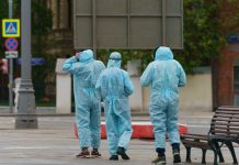 Afrykański pomór świń: Plaga dociera do Badenii-Wirtembergii, są pierwsze strefy wykluczenia