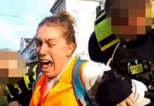 Akcja policji w Berlinie przeciwko aktywistce klimatycznej: Czy funkcjonariusze zadali jej niepotrzebny ból?