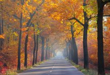 Babie lato w pełni: oto jaka pogoda czeka mieszkańców Niemiec w tym tygodniu