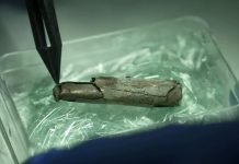 Sensacja archeologiczna we Frankfurcie: Amulet to najstarszy dowód chrześcijaństwa