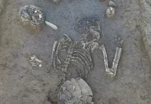 Archeolodzy odkopali w Bawarii 6800-letni szkielet!