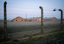 Upamiętnienie wyzwolenia Auschwitz. Kanclerz Scholz: „Odpowiedzialność Niemiec nigdy się nie skończy”