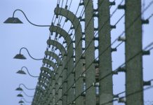 Upamiętnienie wyzwolenia Auschwitz. Kanclerz Scholz: „Odpowiedzialność Niemiec nigdy się nie skończy”