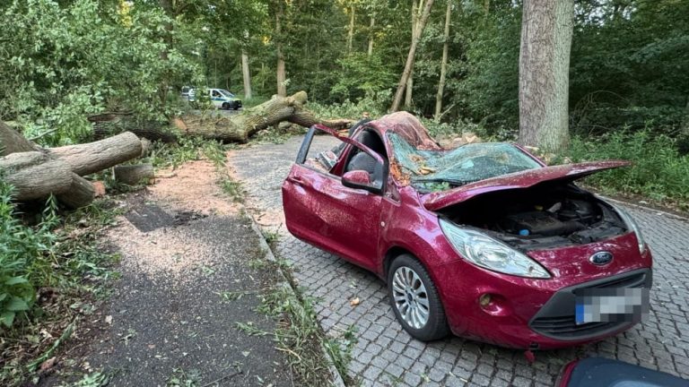 Niemcy: Burza w Berlinie. Kobieta zginęła przygnieciona przez drzewo, chaos na kolei