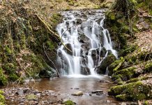 Najpiękniejszy szlak turystyczny Niemiec: w 2023 r. ten tytuł przypadł „HeimatSpur Wasserfall-Erlebnisroute” w powiecie Vulkaneifel w Nadrenii-Palatynacie