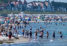 Pod wpływem upałów na Morzu Bałtyckim rozprzestrzenia się coraz więcej bakterii