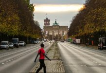 Niemcy: Berlin chce zasadzić milion drzew do 2040 roku. Projekt wart miliardy euro budzi kontrowersje