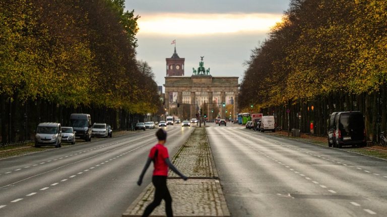 Niemcy: Berlin chce zasadzić milion drzew do 2040 roku. Projekt wart miliardy euro budzi kontrowersje