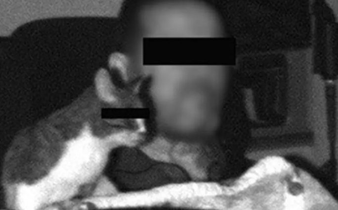 Niemcy: Kierowca ciężarówki „złapany” przez fotoradar razem ze swoją kotką