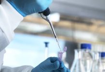 Niemcy: Bawaria i Badenia-Wirtembergia chcą badać pochodzenie sprawców ciężkich przestępstw na podstawie DNA