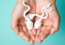 Nawet do 2000 euro! Tutaj możesz najwięcej zarobić oddając nasienie w Niemczech