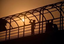 Rekordowe upały, susza i zagrożenie życia. Niemcy zmagają się z ekstremalnymi warunkami pogodowymi