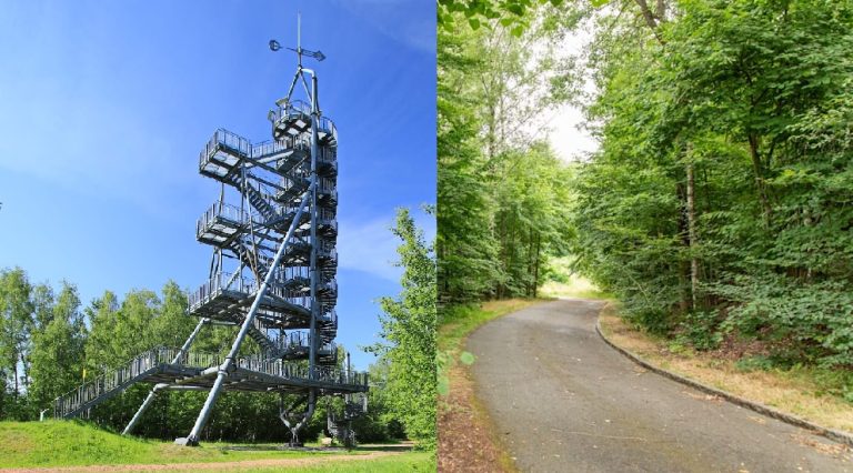 Podejrzenie gwałtu w Saksonii – młoda kobieta zaatakowana w lesie po wizycie na wieży Glückauf