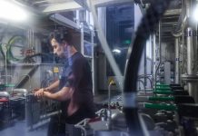 Niemcy: Więcej wiz dla wykwalifikowanych pracowników