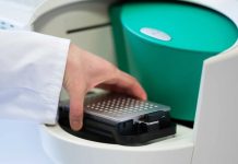 Hamburg: Po raz pierwszy od dekad wykryto dzikie wirusy polio w ściekach