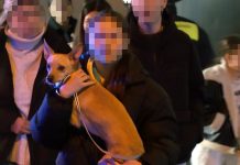 Pożar w Norymberdze. Mieszkańcy nocą uciekali z płonącego budynku – 13 osób rannych