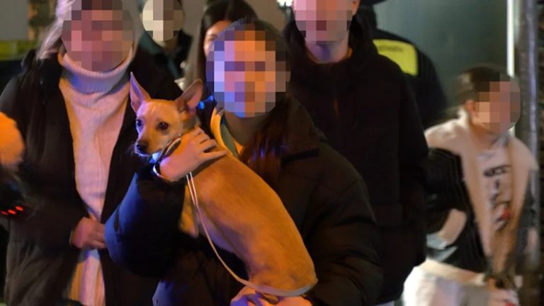 Pożar w Norymberdze. Mieszkańcy nocą uciekali z płonącego budynku – 13 osób rannych