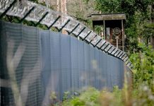 Potężny wybuch w Berlinie: policja zdetonowała 800 kg nielegalnej pirotechniki