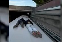 Hamburg: Specyficzny trend – „trainsurferzy” ryzykują życie, aby pochwalić się w Internecie