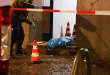 Podczas nalotu berlińska policja zastrzeliła psa