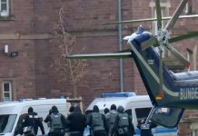 AfD wydala trzech członków partii ze względu na ich możliwe powiązania z grupą terrorystyczną