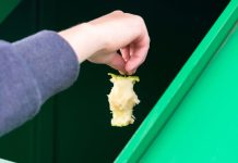 Niemcy: od poniedziałku ogólnokrajowe kontrole pojemników na bioodpady — kto nie posortuje, zapłaci więcej