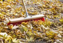 Niemcy: liście z drzewa sąsiada na własnej posesji – kto musi je uprzątnąć?