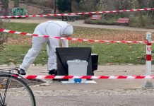 Brutalne pobicie w berlińskim parku: mężczyzna znaleziony martwy, dwóch podejrzanych zatrzymanych
