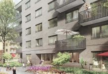 Sąd administracyjny wstrzymuje budowę ośrodka dla uchodźców w Berlinie-Pankow. Powodem chronione gatunki nietoperzy i ptaków