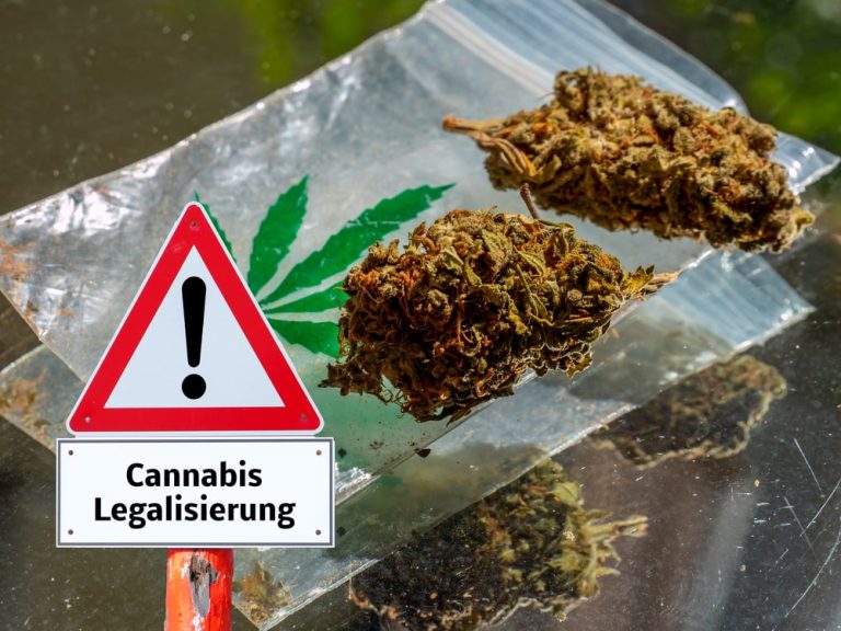 Premier Saksonii uważa legalizację marihuany w Niemczech za zagrożenie: „Rząd federalny ułatwia sięgnięcie po twarde narkotyki”
