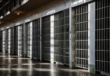 Niemcy: pięciu braci w więzieniu, milionowe koszty dla podatników. Bilans działalności przestępczej syryjskiej rodziny ze Stuttgartu