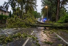 Gwałtowne burze uderzyły w Niemcy. Powalone drzewa, pożary po uderzeniach piorunów i odwołane loty