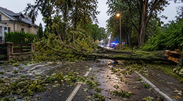 Gwałtowne burze uderzyły w Niemcy. Powalone drzewa, pożary po uderzeniach piorunów i odwołane loty