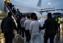 13 400 euro za osobę! Niemcy ujawniają gigantyczne koszty deportacji afgańskich przestępców