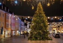 Planowany zamach na jarmark w Bawarii. Główny podejrzany posiadał kilka ciężarówek