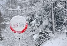 Czy w Niemczech można ignorować znaki przykryte przez śnieg?